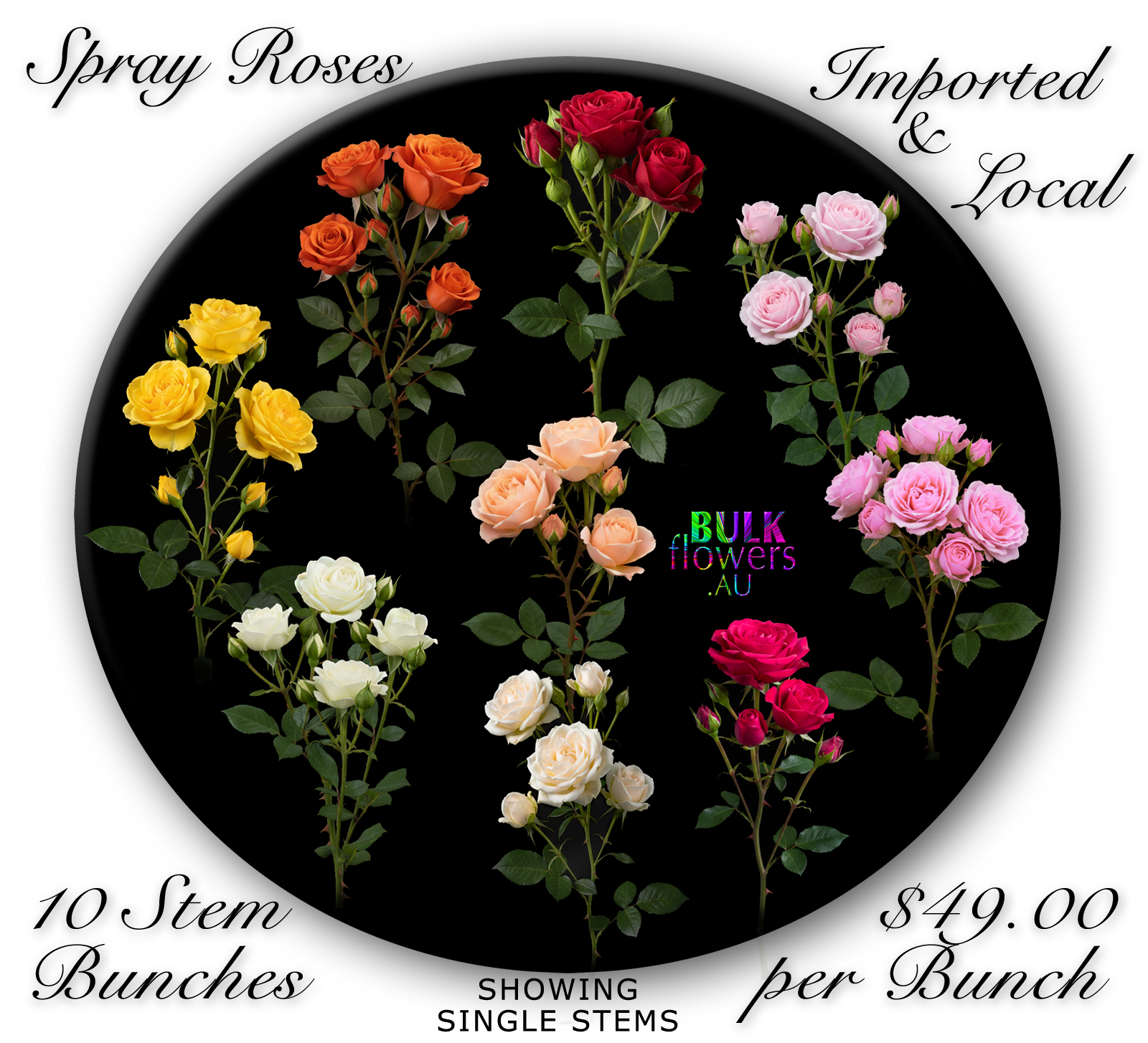 BULK FLOWERS SPRAY ROSES